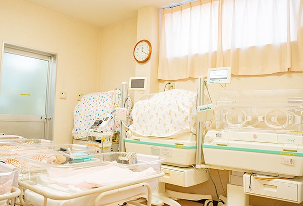 ギャラリー イメージ7