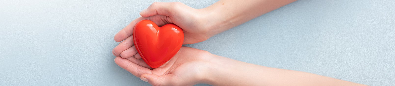 リード_11 イメージ1